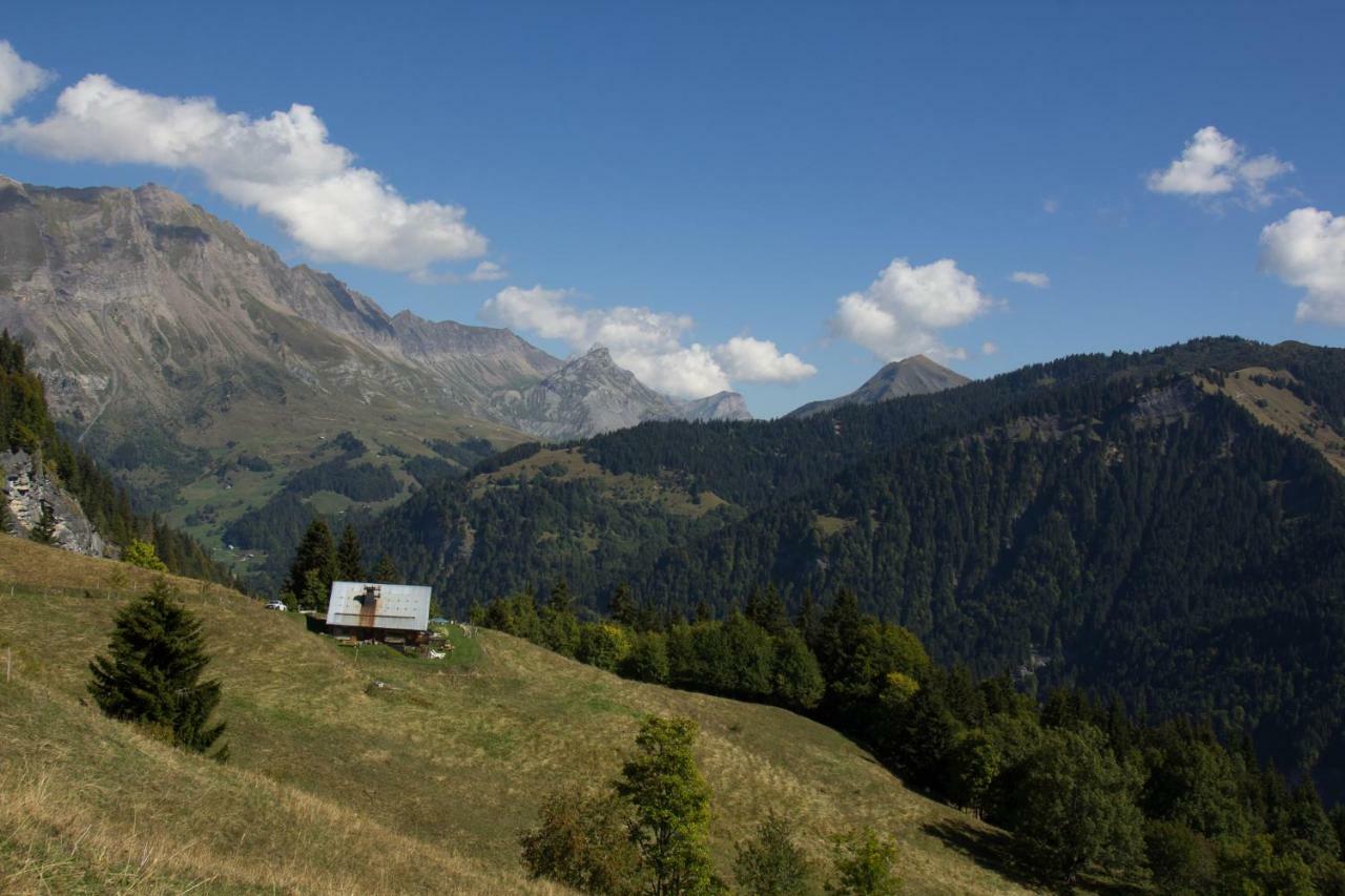Reine Des Aravis - Chalet Isole Флюме Экстерьер фото