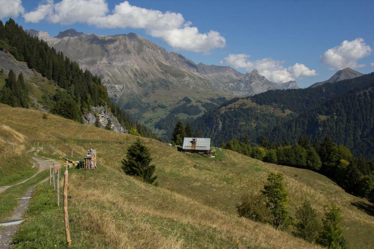 Reine Des Aravis - Chalet Isole Флюме Экстерьер фото